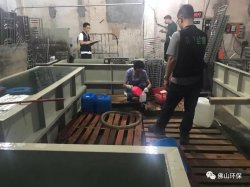 佛山三級環(huán)保加公安部門聯(lián)合執(zhí)法查處南海2家污企，七人被帶走調(diào)查